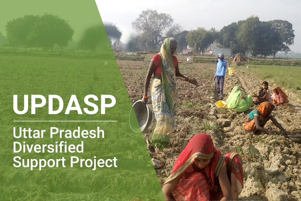 UPDASP – Uttar Pradesh Diversified Support Project